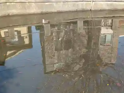 寺谷弁才天の動物