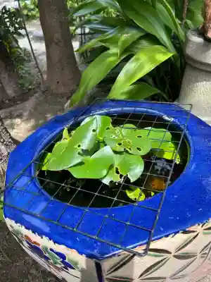 髙帝龍王龍神社（白山宮末社）(愛知県)