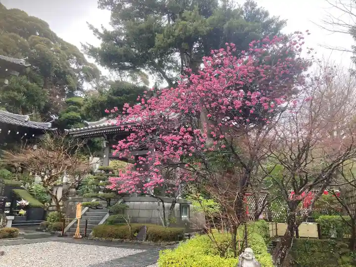 長谷寺(神奈川県)