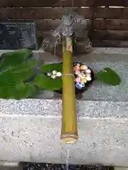 鎮守氷川神社の手水