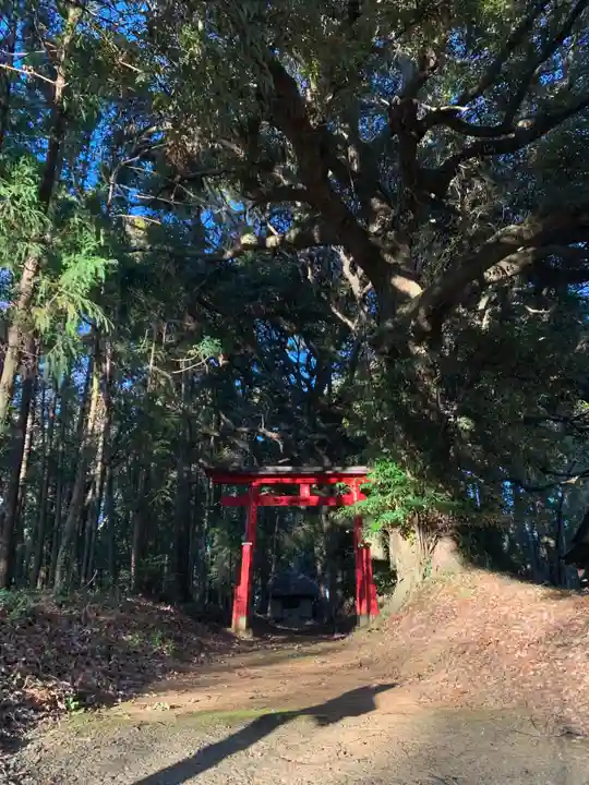 宇迦大神(千葉県)