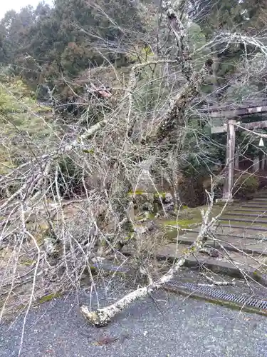 五皇神社(福井県)