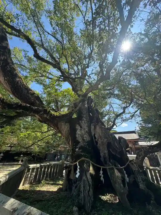 大山祇神社(愛媛県)