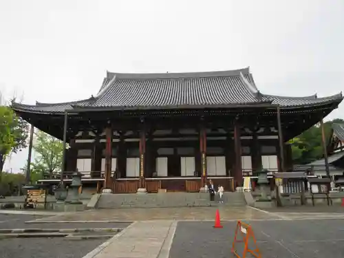 くろ谷 金戒光明寺の本殿・本堂