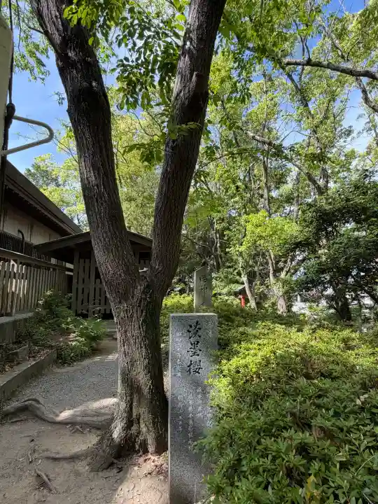 自凝島神社の{uncategorized: "未分類", other: "その他", undefined: "問題あり", building: "その他建物", grave: "お墓", sacred_gate: "鳥居", guardian: "狛犬", statue: "像", buddha: "仏像", history: "歴史", nature: "自然", garden: "庭園", animal: "動物", pagoda: "塔", temizu: "手水舎", mountain_gate: "山門・神門", sanctuary: "本殿・本堂", subordinate: "末社・摂社", art: "芸術", scenery: "景色", jizo: "地蔵", ema: "絵馬", goshuin: "御朱印", omikuji: "おみくじ", items: "授与品その他", amulet: "お守り", goshuincho: "御朱印帳", eats: "食事", festival: "お祭り", votive_dance: "神楽", shichigosan: "七五三参", wedding: "結婚式", experience: "体験その他", initially: "初詣", around: "周辺", anti_infection: "感染症対策"}