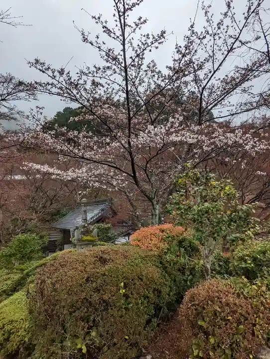 善峯寺(京都府)