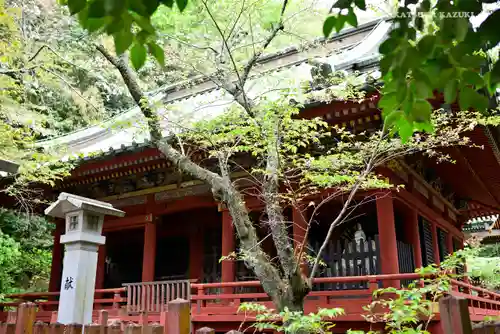 静岡浅間神社の本殿