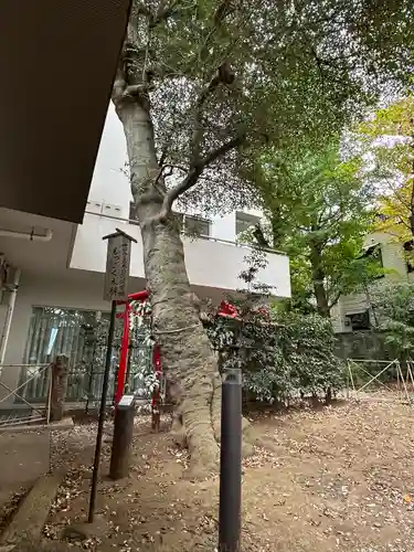 駒繋神社(東京都)