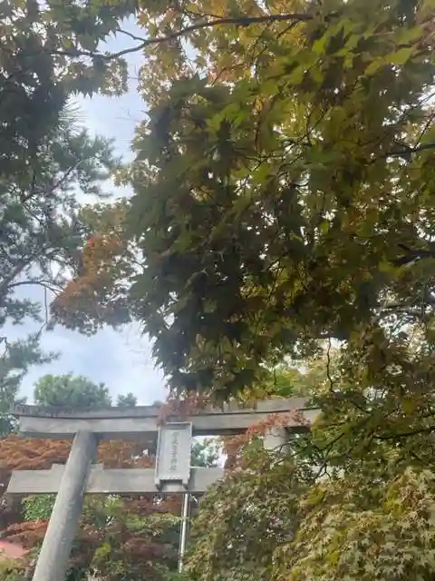 彌彦神社 (伊夜日子神社)の鳥居