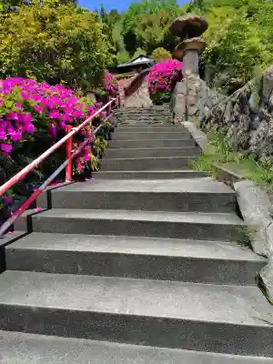 観音寺の{uncategorized: "未分類", other: "その他", undefined: "問題あり", building: "その他建物", grave: "お墓", sacred_gate: "鳥居", guardian: "狛犬", statue: "像", buddha: "仏像", history: "歴史", nature: "自然", garden: "庭園", animal: "動物", pagoda: "塔", temizu: "手水舎", mountain_gate: "山門・神門", sanctuary: "本殿・本堂", subordinate: "末社・摂社", art: "芸術", scenery: "景色", jizo: "地蔵", ema: "絵馬", goshuin: "御朱印", omikuji: "おみくじ", items: "授与品その他", amulet: "お守り", goshuincho: "御朱印帳", eats: "食事", festival: "お祭り", votive_dance: "神楽", shichigosan: "七五三参", wedding: "結婚式", experience: "体験その他", initially: "初詣", around: "周辺", anti_infection: "感染症対策"}