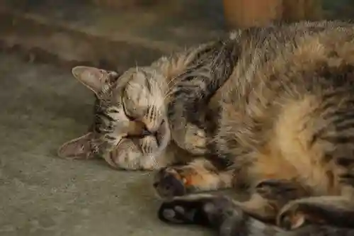 玉野御嶽神社(愛知県)
