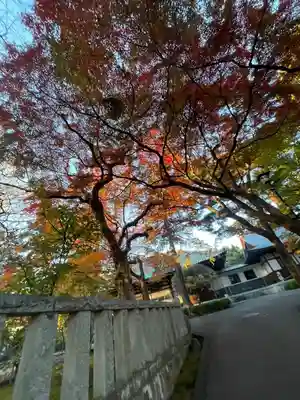 三寳寺(東京都)