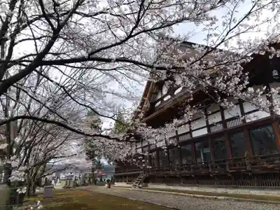 浄興寺(新潟県)
