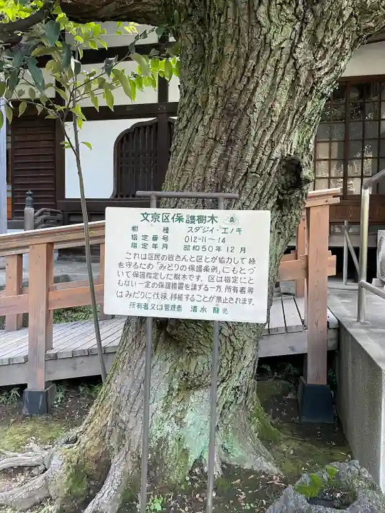 心光寺(東京都)