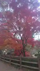 龍城神社(愛知県)