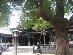 穴八幡宮の本殿