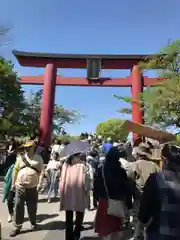 亀戸天神社の鳥居