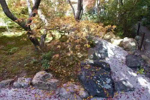 宝筐院の庭園