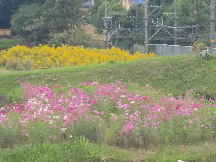 安楽寺(大阪府)