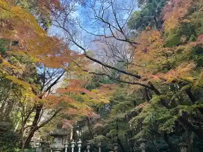 香取神宮(千葉県)