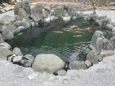 白金氷川神社の御朱印