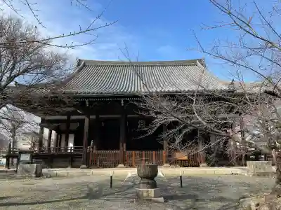立本寺の{uncategorized: "未分類", other: "その他", undefined: "問題あり", building: "その他建物", grave: "お墓", sacred_gate: "鳥居", guardian: "狛犬", statue: "像", buddha: "仏像", history: "歴史", nature: "自然", garden: "庭園", animal: "動物", pagoda: "塔", temizu: "手水舎", mountain_gate: "山門・神門", sanctuary: "本殿・本堂", subordinate: "末社・摂社", art: "芸術", scenery: "景色", jizo: "地蔵", ema: "絵馬", goshuin: "御朱印", omikuji: "おみくじ", items: "授与品その他", amulet: "お守り", goshuincho: "御朱印帳", eats: "食事", festival: "お祭り", votive_dance: "神楽", shichigosan: "七五三参", wedding: "結婚式", experience: "体験その他", initially: "初詣", around: "周辺", anti_infection: "感染症対策"}