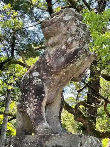 大分八幡宮(福岡県)