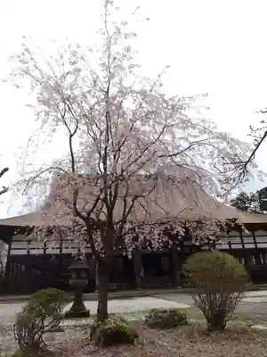 浄興寺(新潟県)