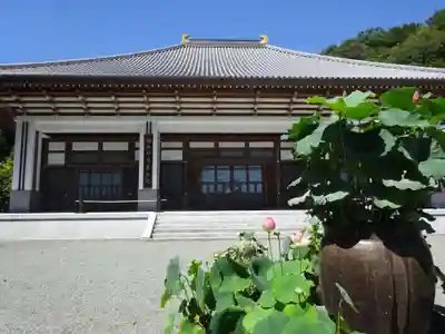 常昌院の本殿・本堂