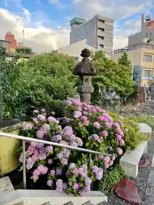 妙正寺(栃木県)