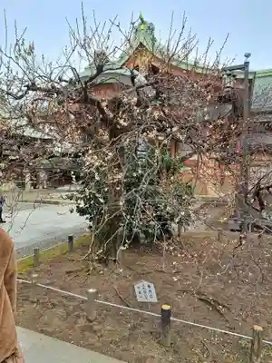 北野天満宮(京都府)