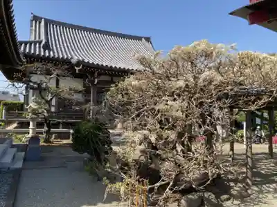 等覚院（藤巻寺）(神奈川県)