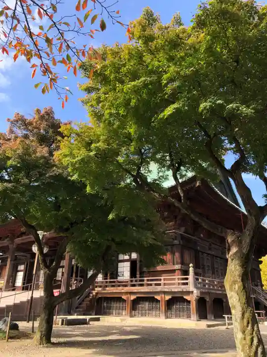 護国寺の本殿・本堂