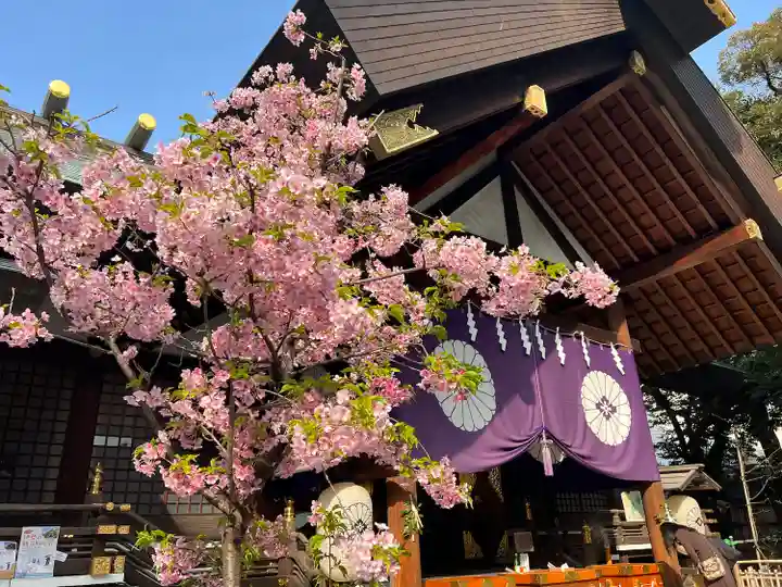 東京大神宮(東京都)