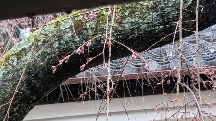 十輪寺(京都府)