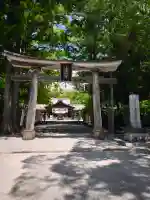 土佐神社の{uncategorized: "未分類", other: "その他", undefined: "問題あり", building: "その他建物", grave: "お墓", sacred_gate: "鳥居", guardian: "狛犬", statue: "像", buddha: "仏像", history: "歴史", nature: "自然", garden: "庭園", animal: "動物", pagoda: "塔", temizu: "手水舎", mountain_gate: "山門・神門", sanctuary: "本殿・本堂", subordinate: "末社・摂社", art: "芸術", scenery: "景色", jizo: "地蔵", ema: "絵馬", goshuin: "御朱印", omikuji: "おみくじ", items: "授与品その他", amulet: "お守り", goshuincho: "御朱印帳", eats: "食事", festival: "お祭り", votive_dance: "神楽", shichigosan: "七五三参", wedding: "結婚式", experience: "体験その他", initially: "初詣", around: "周辺", anti_infection: "感染症対策"}