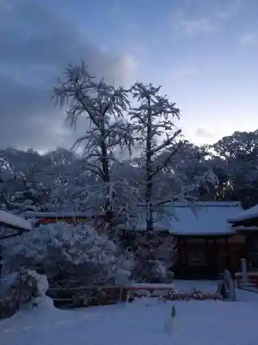 賀茂御祖神社（下鴨神社）の自然