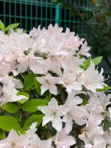 根津神社(東京都)