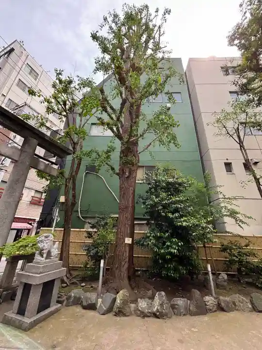 銀杏岡八幡神社の{uncategorized: "未分類", other: "その他", undefined: "問題あり", building: "その他建物", grave: "お墓", sacred_gate: "鳥居", guardian: "狛犬", statue: "像", buddha: "仏像", history: "歴史", nature: "自然", garden: "庭園", animal: "動物", pagoda: "塔", temizu: "手水舎", mountain_gate: "山門・神門", sanctuary: "本殿・本堂", subordinate: "末社・摂社", art: "芸術", scenery: "景色", jizo: "地蔵", ema: "絵馬", goshuin: "御朱印", omikuji: "おみくじ", items: "授与品その他", amulet: "お守り", goshuincho: "御朱印帳", eats: "食事", festival: "お祭り", votive_dance: "神楽", shichigosan: "七五三参", wedding: "結婚式", experience: "体験その他", initially: "初詣", around: "周辺", anti_infection: "感染症対策"}