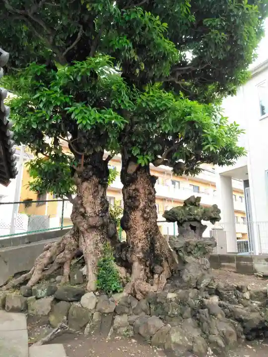 根岸町王子稲荷社(神奈川県)