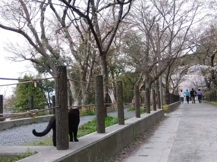 熊野若王子神社(京都府)