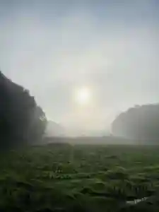 浄土寺(兵庫県)(2025年10月27日(月) 09時20分13秒投稿)