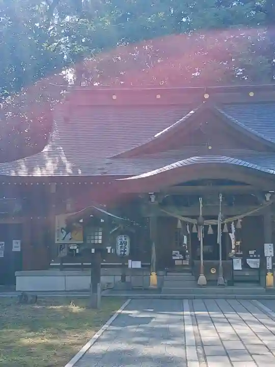駒形神社の{uncategorized: "未分類", other: "その他", undefined: "問題あり", building: "その他建物", grave: "お墓", sacred_gate: "鳥居", guardian: "狛犬", statue: "像", buddha: "仏像", history: "歴史", nature: "自然", garden: "庭園", animal: "動物", pagoda: "塔", temizu: "手水舎", mountain_gate: "山門・神門", sanctuary: "本殿・本堂", subordinate: "末社・摂社", art: "芸術", scenery: "景色", jizo: "地蔵", ema: "絵馬", goshuin: "御朱印", omikuji: "おみくじ", items: "授与品その他", amulet: "お守り", goshuincho: "御朱印帳", eats: "食事", festival: "お祭り", votive_dance: "神楽", shichigosan: "七五三参", wedding: "結婚式", experience: "体験その他", initially: "初詣", around: "周辺", anti_infection: "感染症対策"}