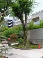 大安寺(東京都)