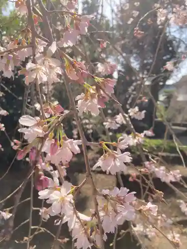 伊豆山神社(静岡県)
