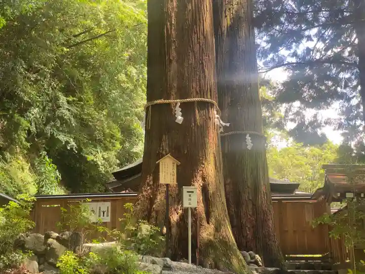 丹生川上神社(中社)の{uncategorized: "未分類", other: "その他", undefined: "問題あり", building: "その他建物", grave: "お墓", sacred_gate: "鳥居", guardian: "狛犬", statue: "像", buddha: "仏像", history: "歴史", nature: "自然", garden: "庭園", animal: "動物", pagoda: "塔", temizu: "手水舎", mountain_gate: "山門・神門", sanctuary: "本殿・本堂", subordinate: "末社・摂社", art: "芸術", scenery: "景色", jizo: "地蔵", ema: "絵馬", goshuin: "御朱印", omikuji: "おみくじ", items: "授与品その他", amulet: "お守り", goshuincho: "御朱印帳", eats: "食事", festival: "お祭り", votive_dance: "神楽", shichigosan: "七五三参", wedding: "結婚式", experience: "体験その他", initially: "初詣", around: "周辺", anti_infection: "感染症対策"}
