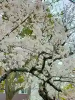 本弘寺(和歌山県)