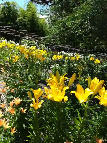 筥崎宮(福岡県)