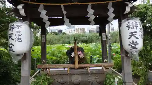 寛永寺不忍池弁天堂の手水