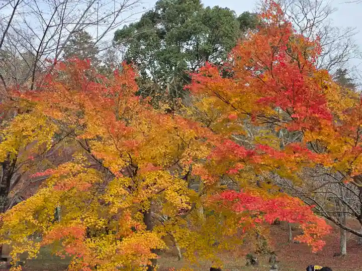 観心寺(大阪府)